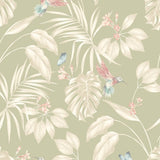 OHPOPSI Laid Bare Wallpaper Hummingbird Colourway Sage Tile Image