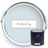 Blackbird's Egg | Blue Paint