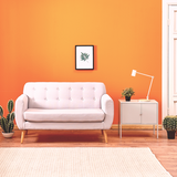 Colours Eco Paint | Spiced Marmalade No. 51 | Bright Orange